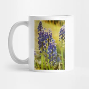 Spring Garden Mug